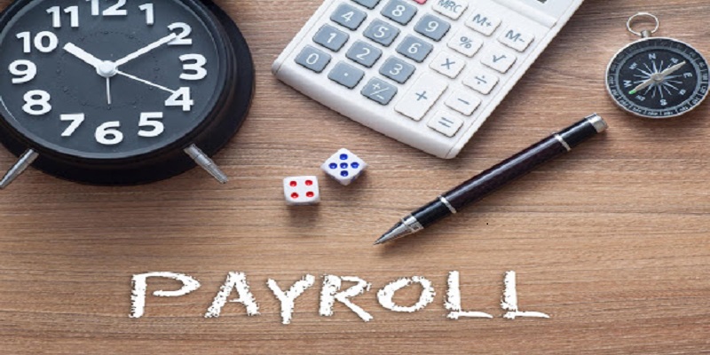 Payroll software outsourcing