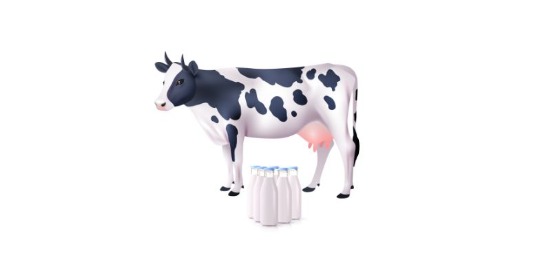 The Role Of Cow’s Milk In Supporting Bone Strength